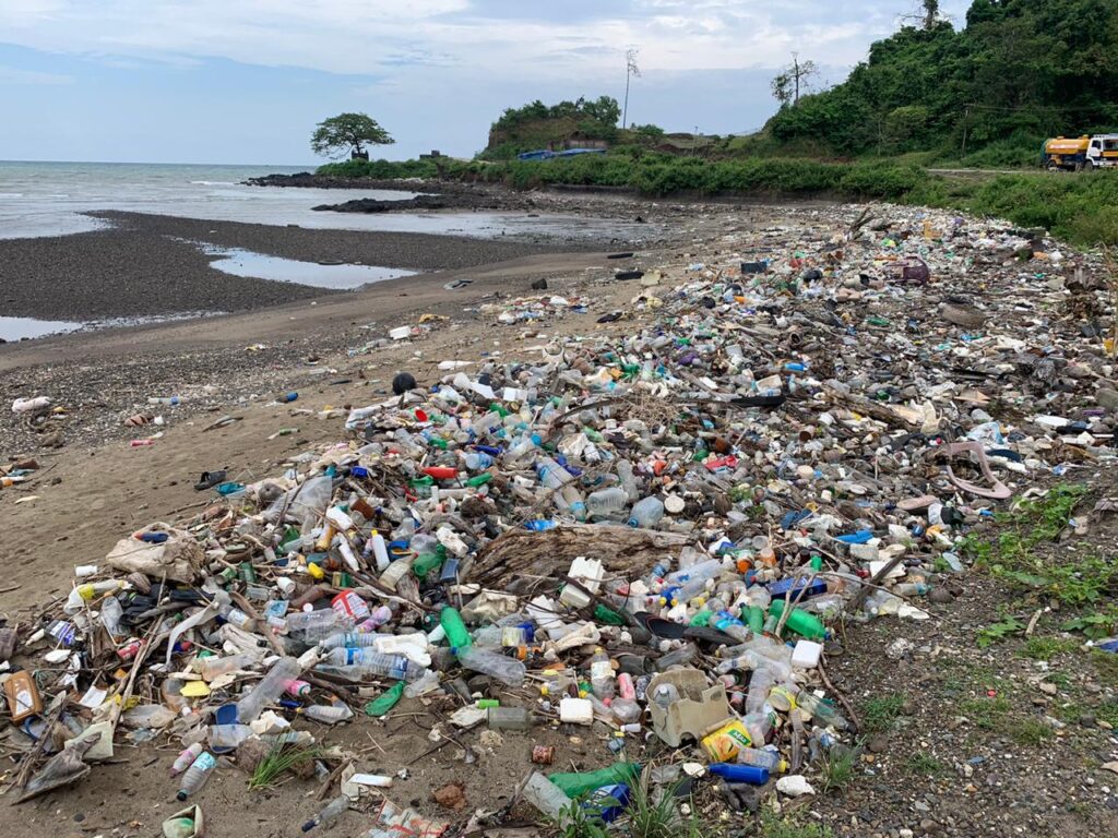 Plastic waste management in India